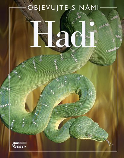 Hadi