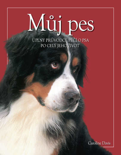 Můj pes