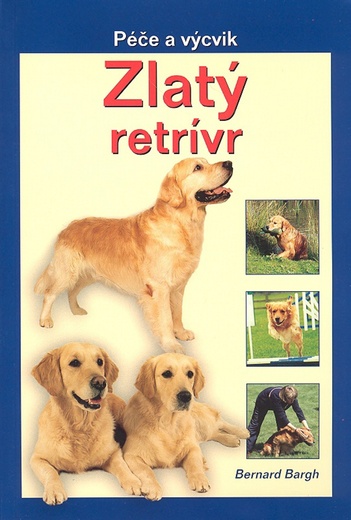 Zlatý retrívr