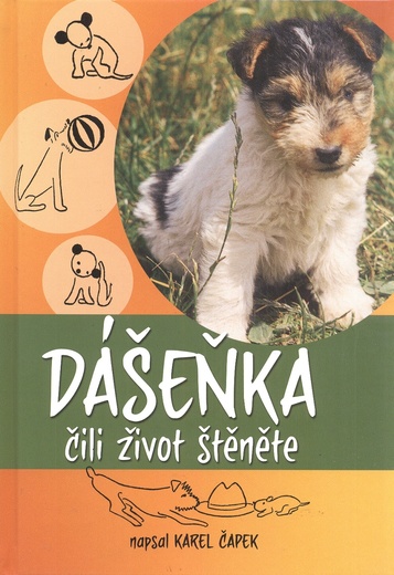 Dášeňka čili život štěněte