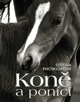 Ottova encyklopedie Koně a poníci