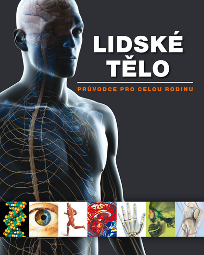 Lidské tělo