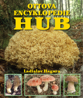 Ottova encyklopedie hub