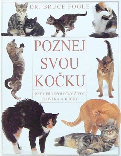 Poznej svou kočku