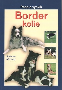 Border kolie