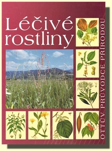 Léčivé rostliny