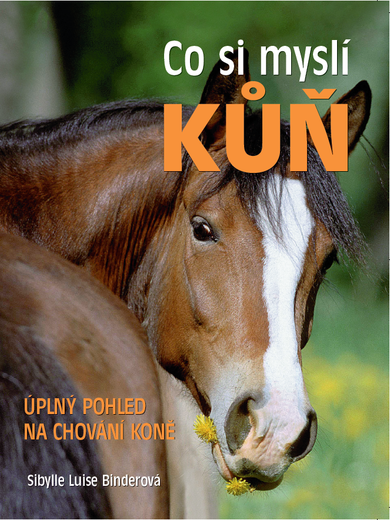 Co si myslí kůň