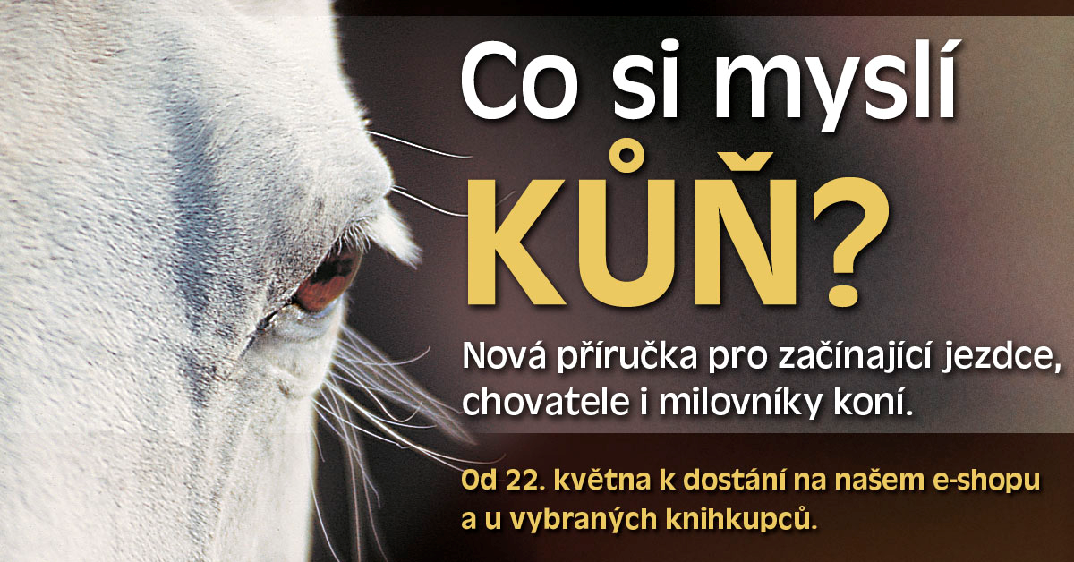 Motiv9
